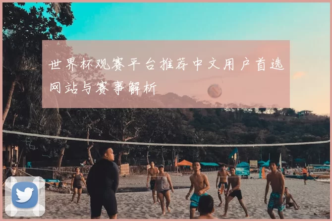 世界杯观赛平台推荐中文用户首选网站与赛事解析