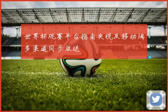 世界杯观赛平台指南央视及移动端多渠道同步放送
