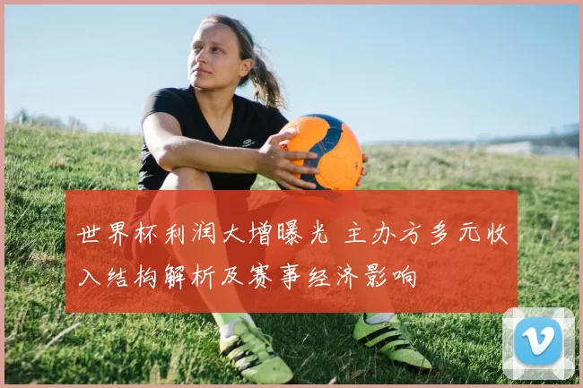 世界杯利润大增曝光 主办方多元收入结构解析及赛事经济影响