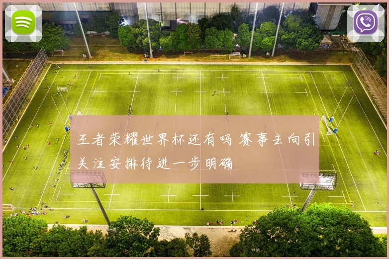 王者荣耀世界杯还有吗 赛事去向引关注安排待进一步明确